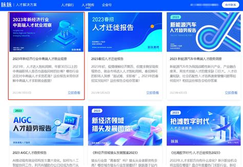 脉脉高聘发布《2023新经济行业中高端人才就业观察》 电商报