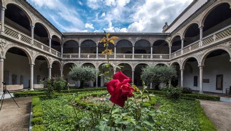 Los Jardines Del Hospital De Santa Cruz De Toledo Que Javier De