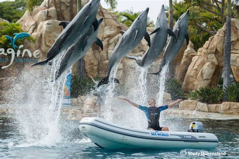 Sea World - Gold Coast | Langports