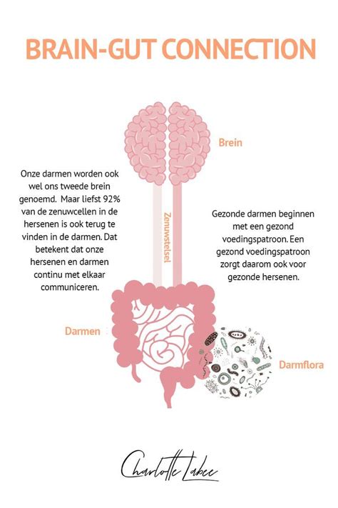 The Diagram Shows How To Use Brain Gut Connection