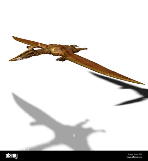 El Quetzalcoatlus Northropi Era Un Vuelo Dinosaurio Con Aprox 12 M