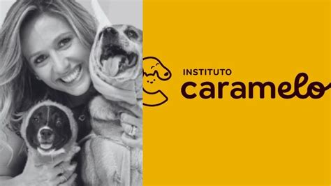 Instituto Que Carregava O Nome De Luisa Mell Vira A P Gina De Vez