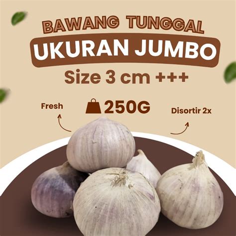 Jual Bawang Putih Tunggal Lanang Jumbo Cm Gr Shopee Indonesia