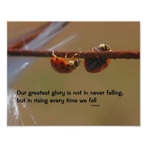 Ladybug Poems Or Quotes. QuotesGram