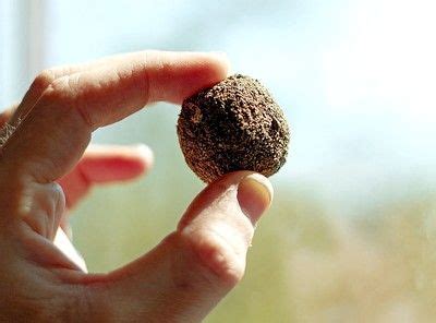 A Hand Holding A Chocolate Donut In Front Of A Window With Blue Sky