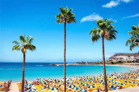 Das Wetter Auf Gran Canaria Norden Inselmitte And Süden Im Vergleich