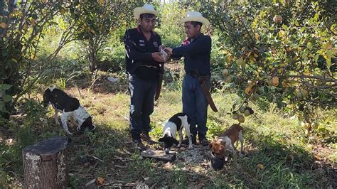 Fuimos Al Campo A Juntar Rastrojo Y Pusimos En La Lumbre Ricos Chayotes