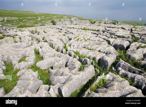 Acid Rain Limestone Erosion High Resolution Stock Photography And