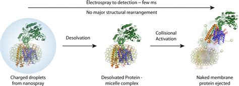 Using Native Mass Spectrometry For Drug Development