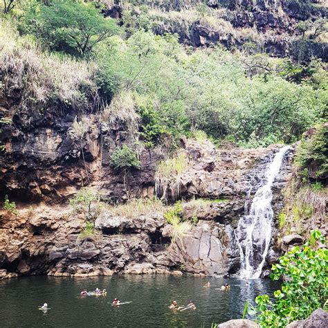 Oahu Spotlight: Waimea Valley – Xenomania: the love of foreign things