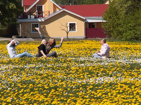 Hvad Er Udeskole Skoven I Skolen Hot Sex Picture