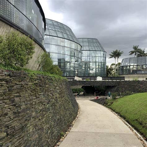 A Visit To The Bogotá Botanical Gardens Main Greenhouse Complex