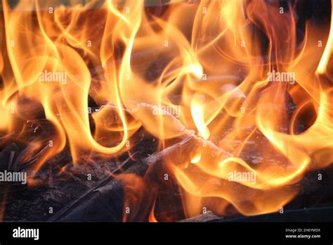 Smoldering Ashes Of A Bonfire Fire Burns Closeup At Campfire Stock