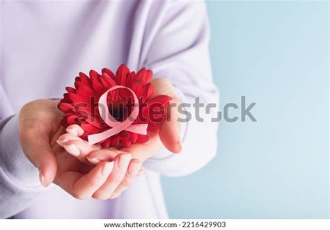 Woman Hands Holding Pink Breast Cancer Awareness Ribbon White Over