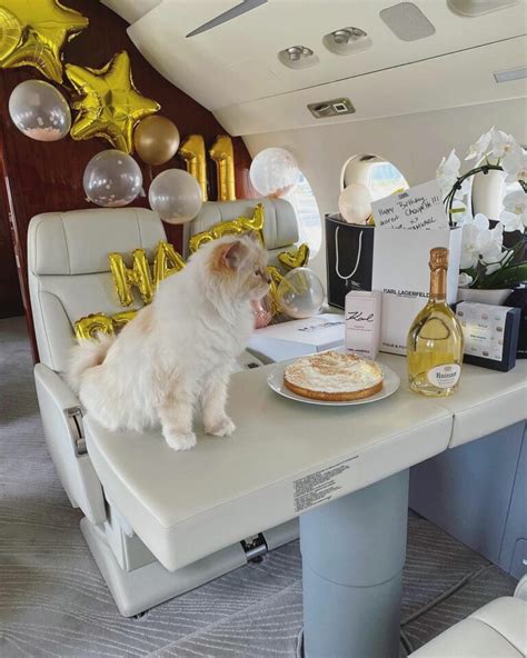 Who Is Choupette Karl Lagerfeld S Cat Imitated By Doja Cat