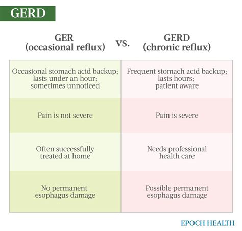 The Essential Guide To Acid Reflux And Gerd Symptoms Causes