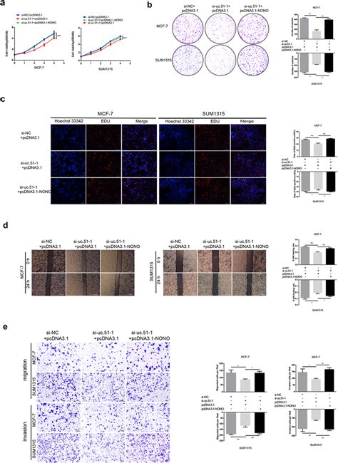 Nono Rescues Uc Deletion Mediated Suppression Of Bc Cell Growth And