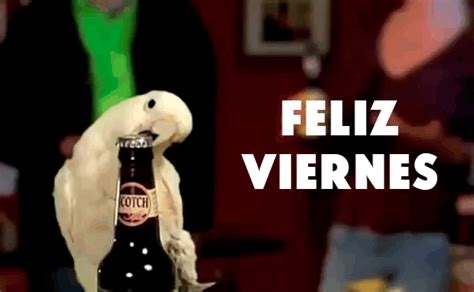 Bird Opening Beer Feliz Viernes Gifdb