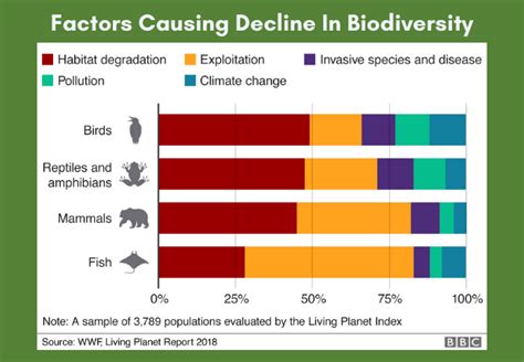 The Loss Of Biodiversity Is A Recipe For Another Pandemic Here S Why