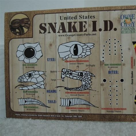 not applicable | Other | Snake Identification Guide Snake I D Chart Do ...