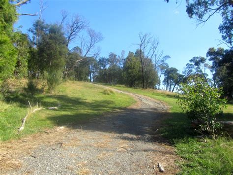 Tracks Trails And Coasts Near Melbourne Mt Morton Reserve Belgrave