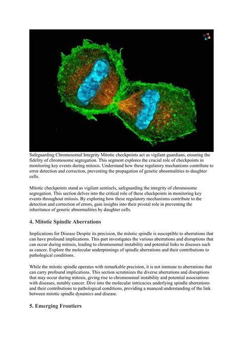 Decoding The Mitotic Spindle Roles Dynamics And Implications For