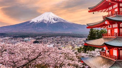 20 Countries Where You Can See the Japanese Cherry Blossoms | CuddlyNest Travel Blog