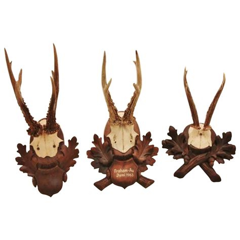 Exceptional Black Forest Carved Wood Deer Head With Antler Mount At