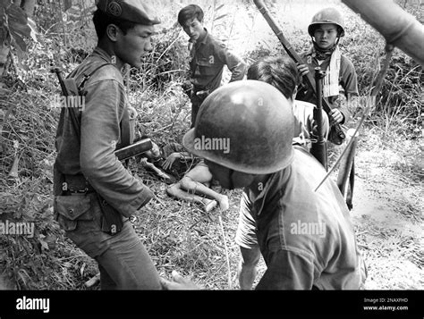 Vietnamese Soldiers Capture A Communist Viet Cong Guerrilla Hiding In