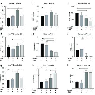 The Effects Of Cbd Treatment On Mirna Expression In The Vmpfc Nac And