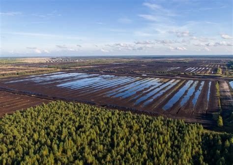 Peat Moss Harvest