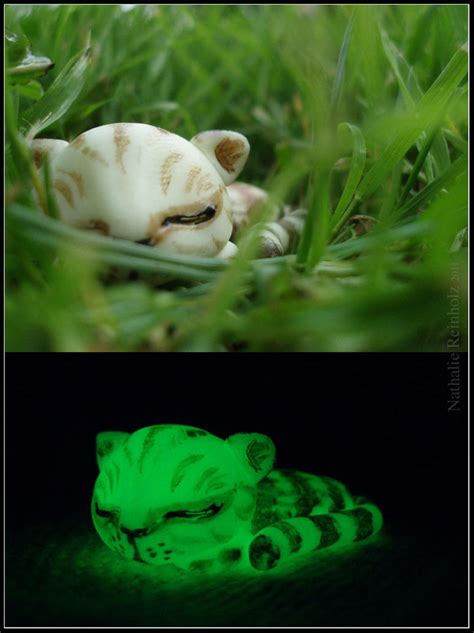 Glowing Cat By Endless Spirit On Deviantart