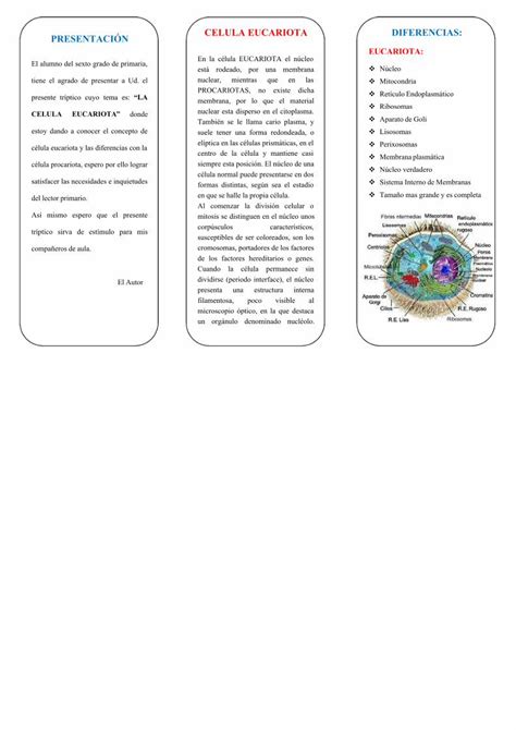 Pdf Triptico Celula Eucariota Dokumen Tips