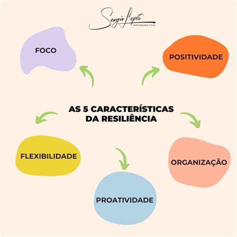 As Caracter Sticas Da Resili Ncia O Sergio Lopes