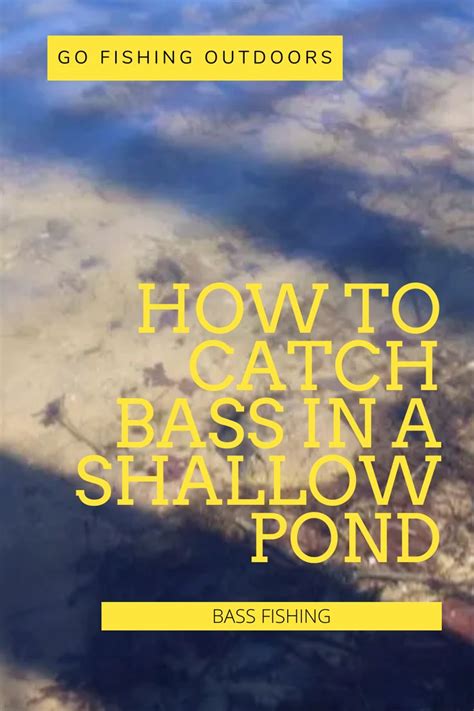 How To Catch Bass In A Shallow Pond Bass Fishing Tips Going Fishing