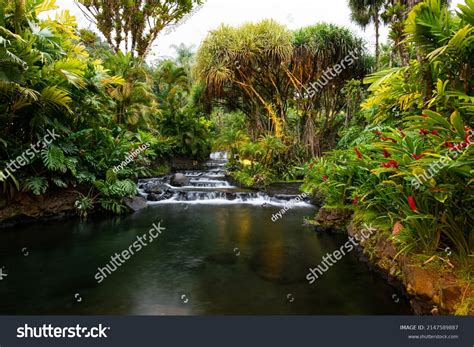 41 Tabacon Costa Rica Images, Stock Photos & Vectors | Shutterstock