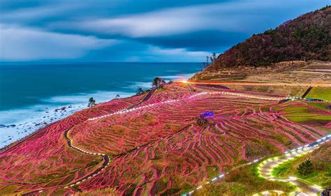 Hello, Noto: 5 Reasons to Visit the Noto Peninsula on Your Next Japan Trip - Travelogues from ...