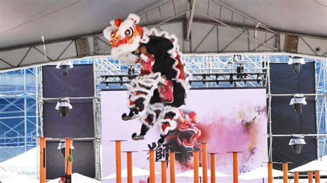 2023桃園國際龍獅邀請賽！第三名 「新竹聯豐龍獅戰鼓團」chinese Taipei Hsinchu Lianfeng Dragon And