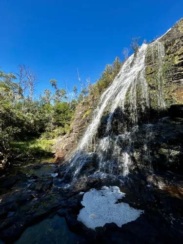 Best Hikes and Trails in Snowy River National Park | AllTrails