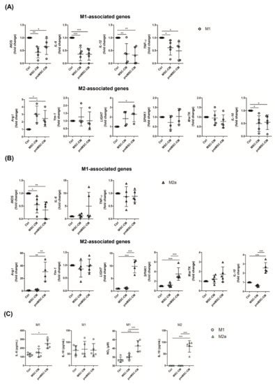 Ijms Free Full Text The Secretome Of Preconditioned Mesenchymal