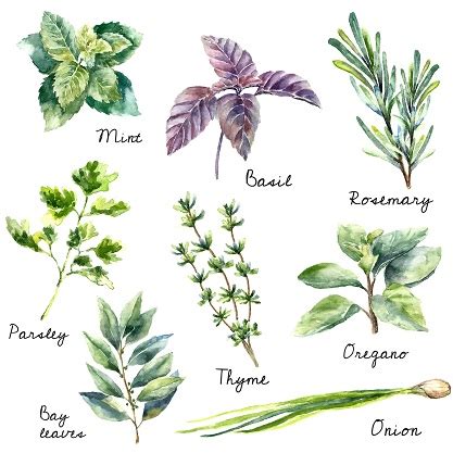 Types of plants