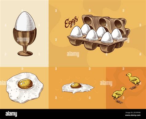 Eggs And And Yolk Scrambled Omelette Shell And Farm Product Chicken