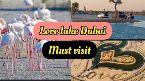 Love Lake Dubai One Of The Most Visited Tourist Attractions Flamingo