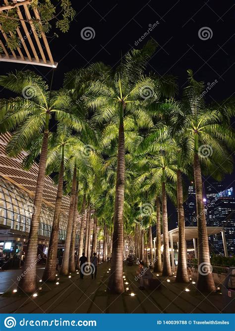 A Tropical Paradise in Singapore Editorial Stock Photo - Image of sunny