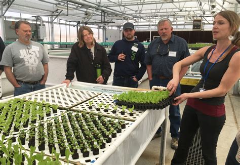 Aquaponics Training In Bangalore Hustlermoms