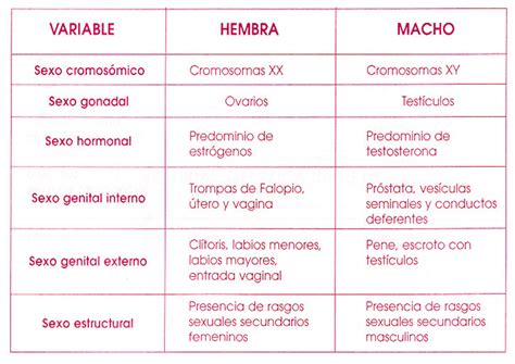 Diferenciado De Psicología Conceptos Centrales De Los Estudios De Género