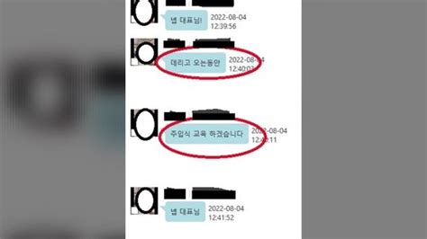 무자본 갭투자로 253억 원 뜯은 전세사기 조직 검거 네이트 뉴스