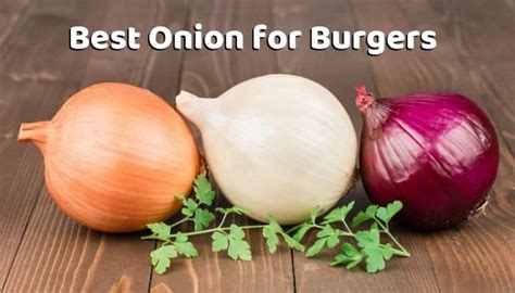 Best Onion For Burgers Types And Cooking Styles For Hamburger Onions