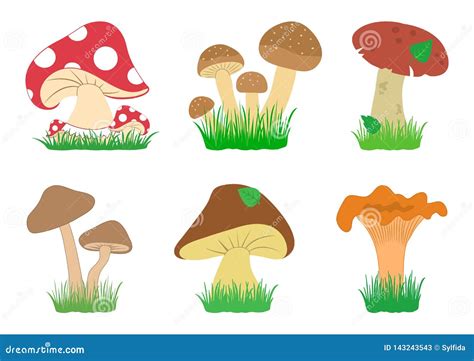 Set Of Mushrooms In In Grass Vector Illustration Stock Illustration