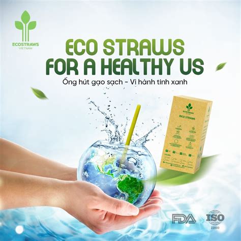 Eco Straws Company Environmentally Friendly Product Manufacturer